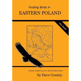 Finding Birds in Eastern Poland