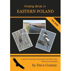 Finding Birds in Eastern Poland DVD