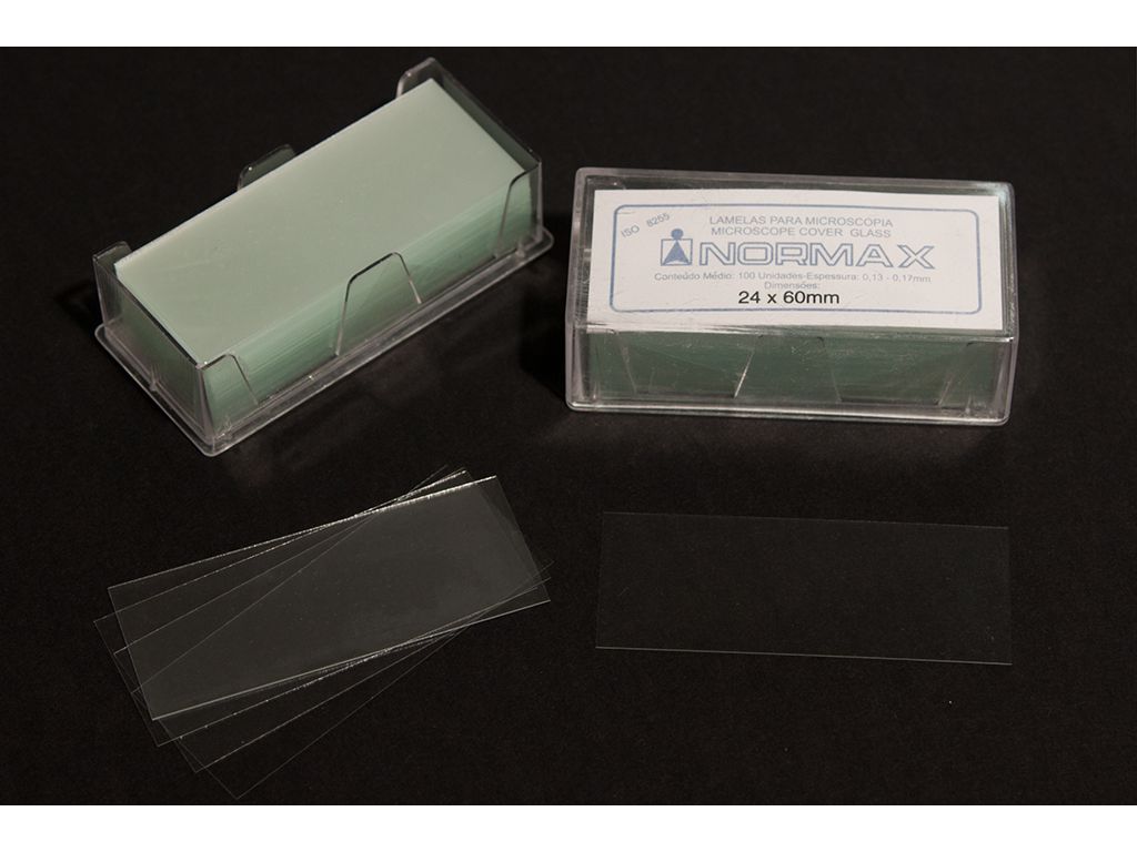 Dekglaasje 24x50mm - 100stuks