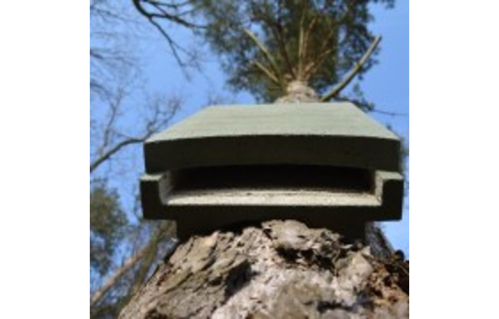 ANS-1 Bat Box