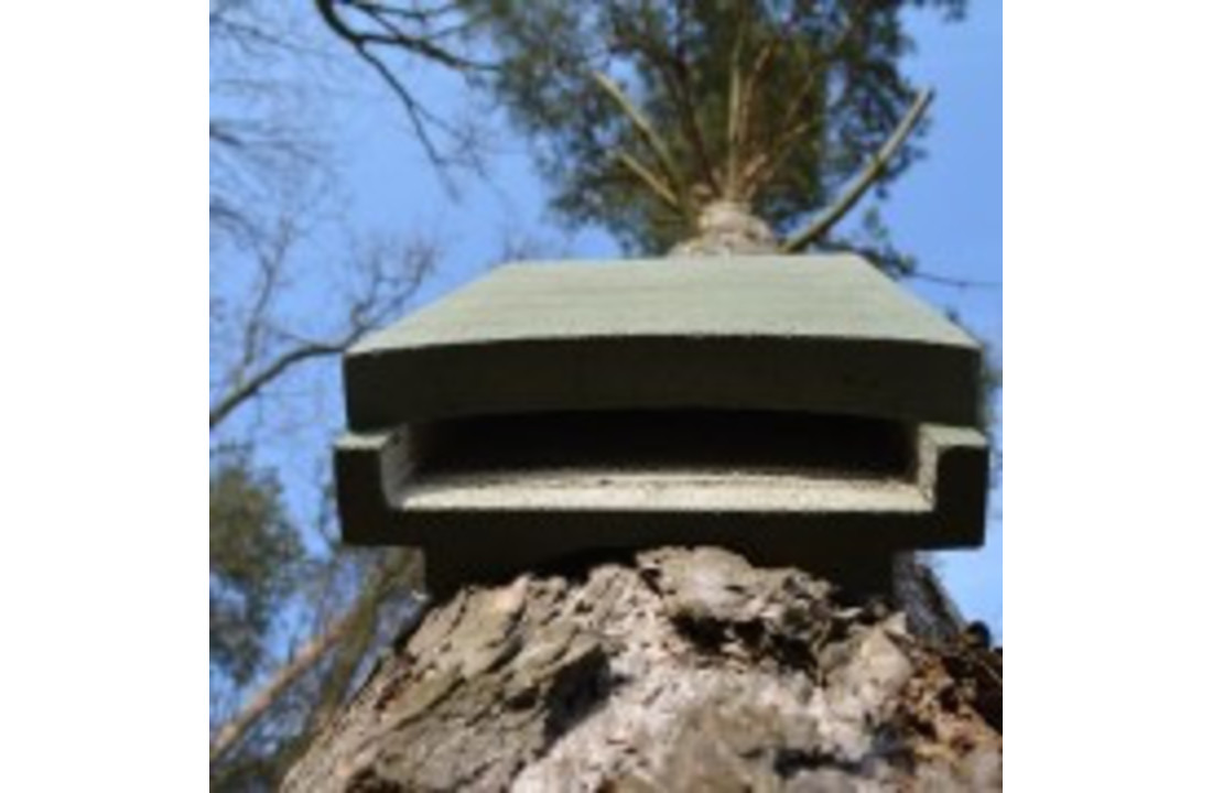 ANS-1 Bat Box