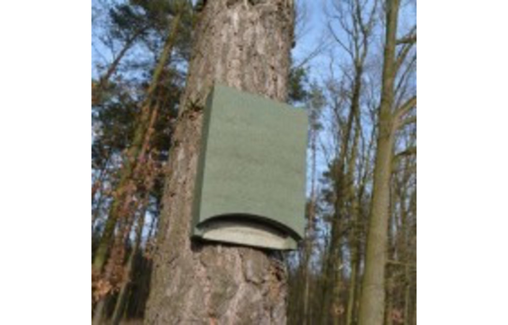 ANS-1 Bat Box