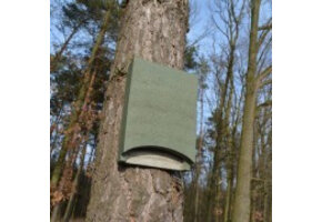 ANS-1 Bat Box