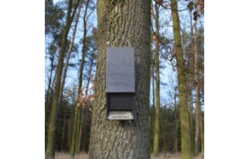 ANS-4 Vleermuiskast