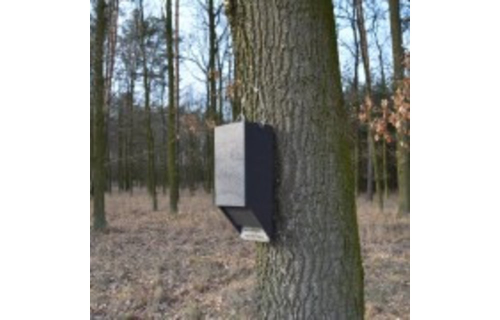 ANS-4 Vleermuiskast