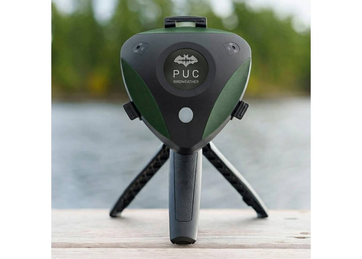BirdWeather PUC - Bat Edition