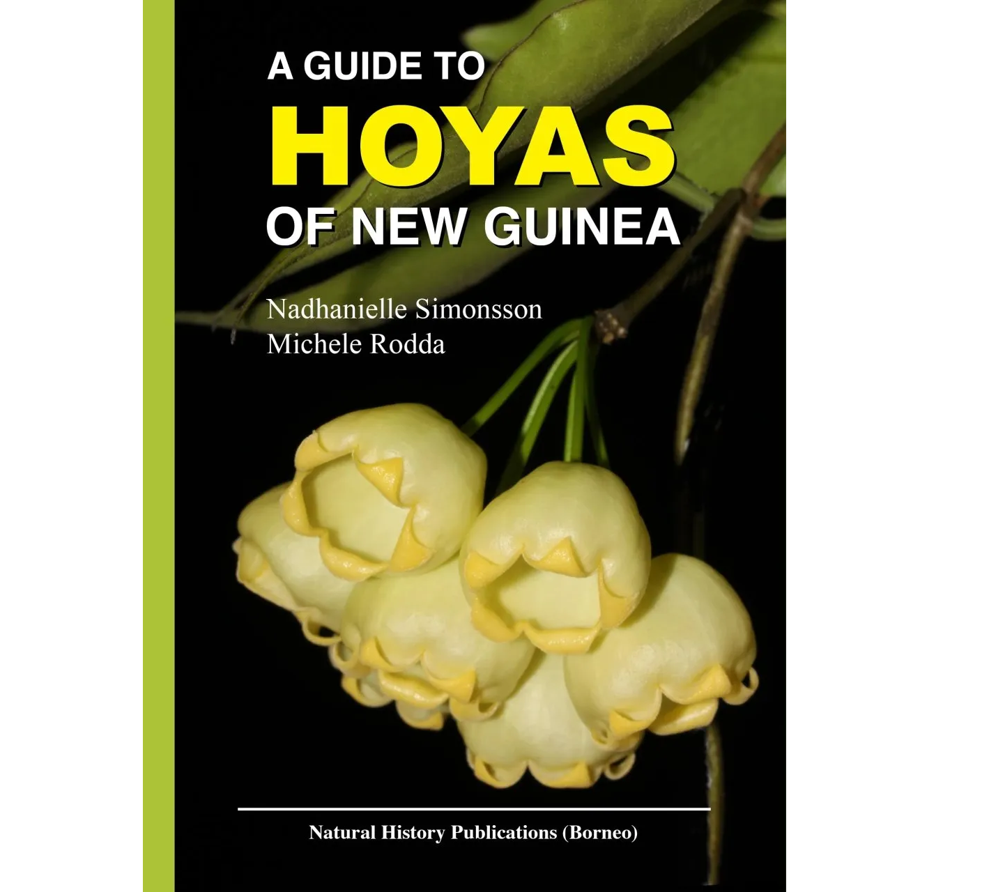 A Guide to Hoyas of New Guinea