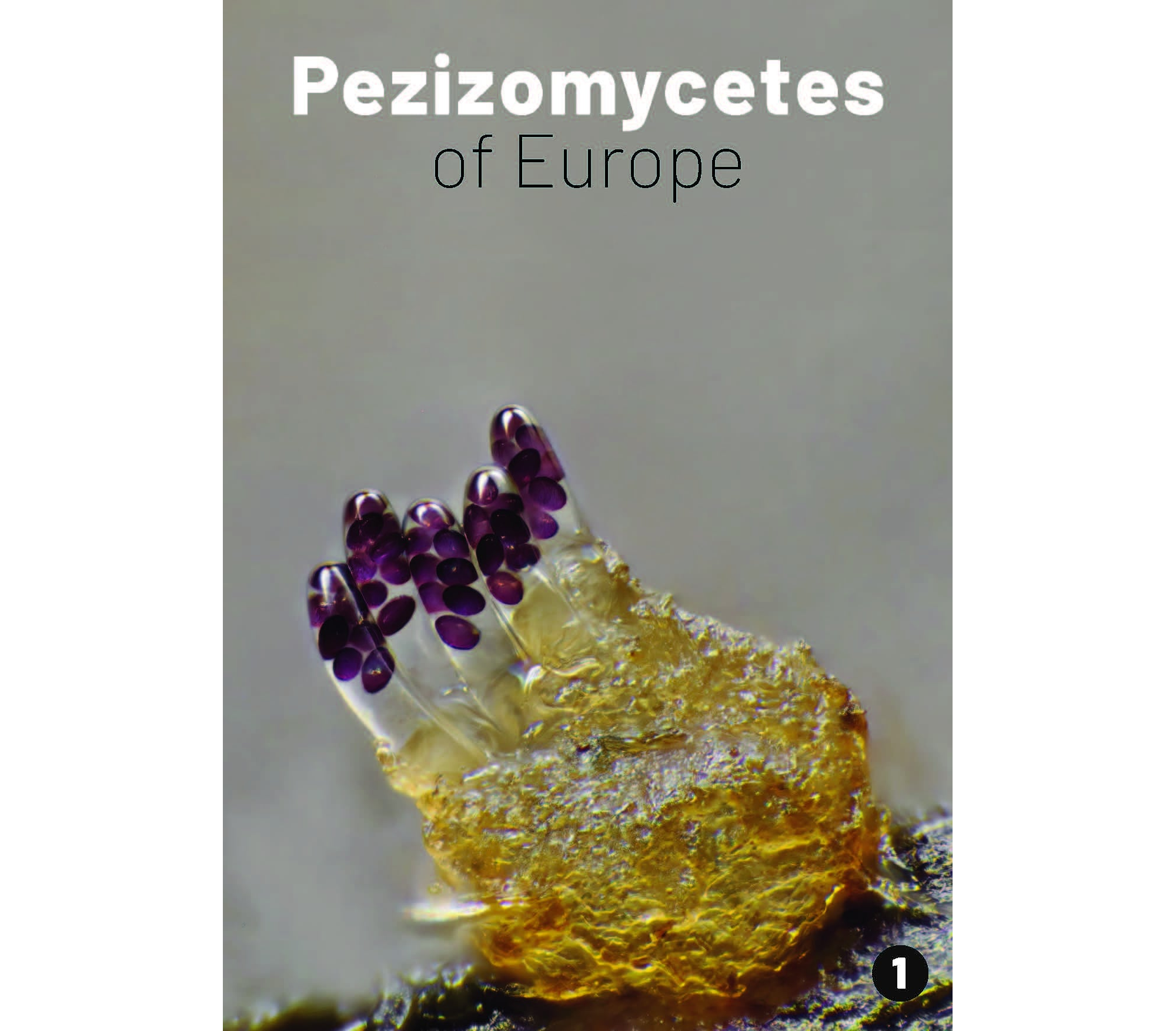 Pezizomycetes of Europe, Volume 1