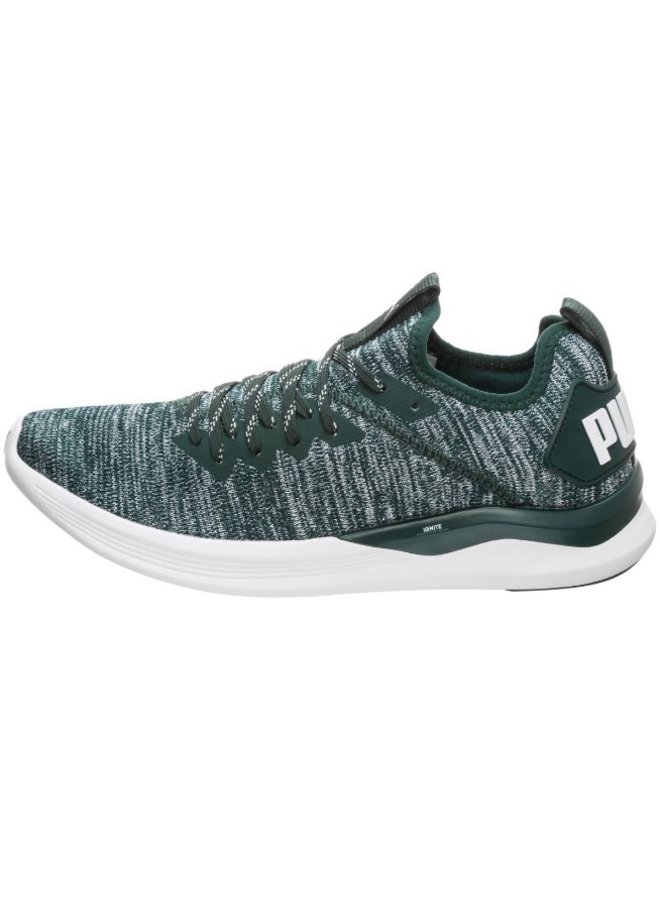 Puma Ignite Flash EvoKNIT groen sneakers dames