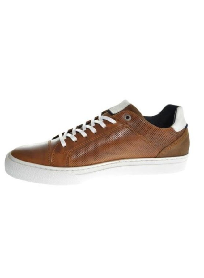 Gaastra Hutchinson PRF M cognac sneakers heren