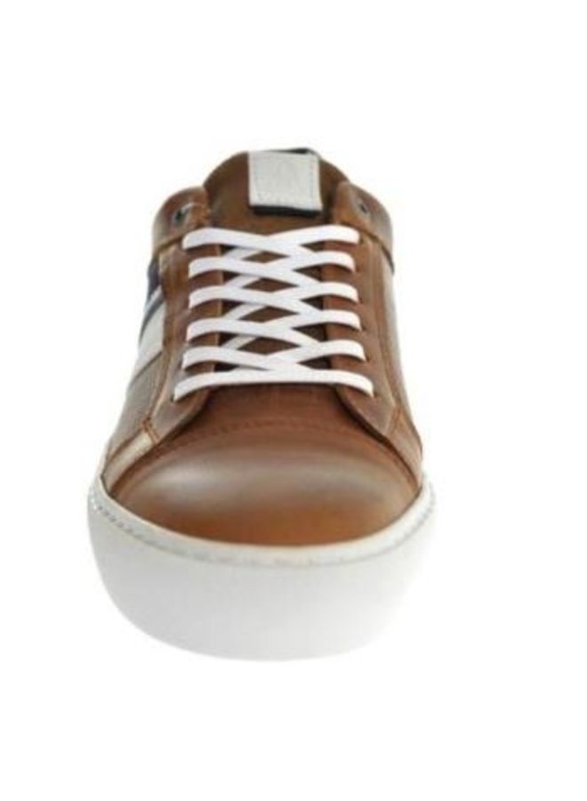 Gaastra Hutchinson PRF M cognac sneakers heren