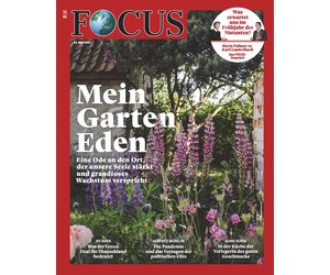 Focus Magazin Mein Garten Eden Focus Online Pdf Shop