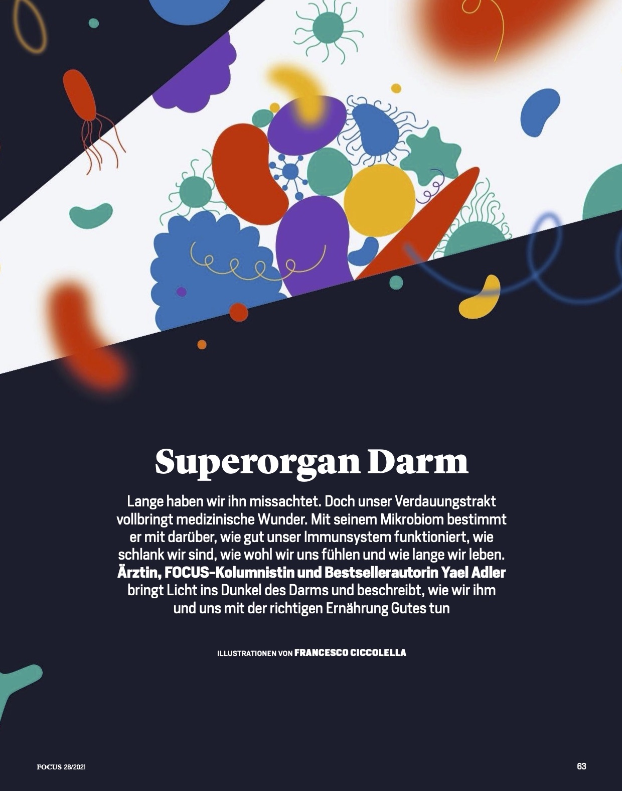 FOCUS Magazin FOCUS Magazin - Superorgan Darm
