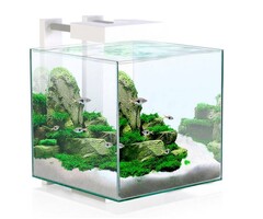 Ciano Ciano nexus pure led 15