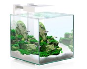 Nano aquaria (10-40 liters)