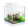 Ciano Ciano nexus pure led 25