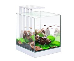 Ciano Ciano nexus pure led 25