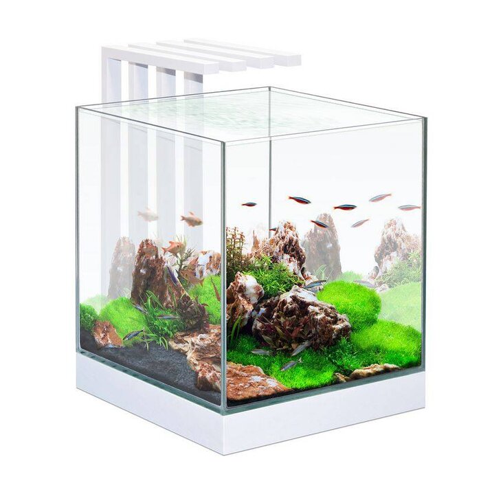 Ciano Ciano nexus pure led 25