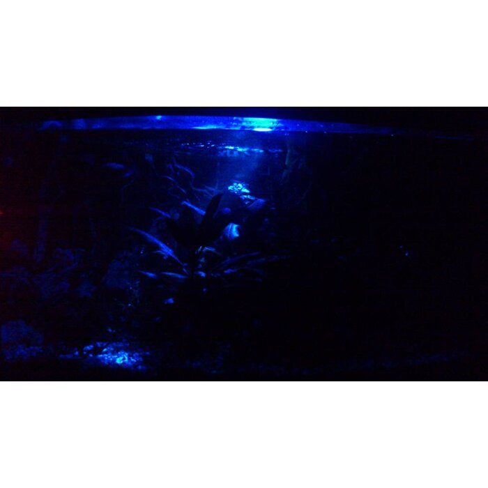 Aquael Aquael LED moonlight - Aquarium nachtverlichting