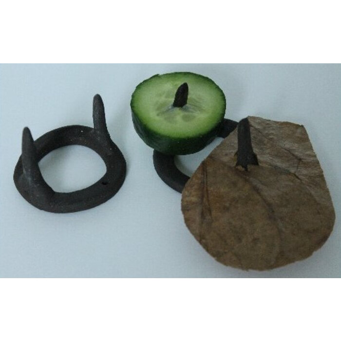 Onlineaquarium spullen Feeding ring