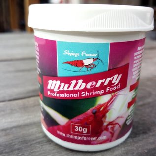 Shrimps forever Shrimps forever mulberry