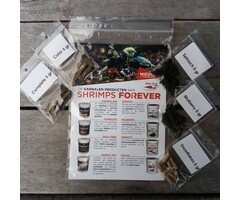 Shrimps forever Shrimps Forever try package
