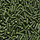 OAS dill sticks
