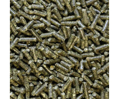 Onlineaquarium spullen OAS Echinacea sticks