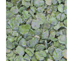 Onlineaquarium spullen OAS pea flakes