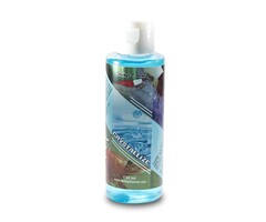 Shrimps forever Shrimps Forever Crystal clear water
