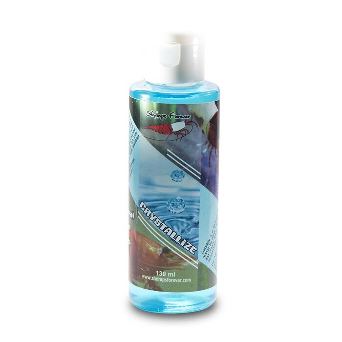 Shrimps forever Shrimps Forever Crystal clear water