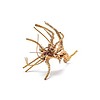 Wio Spiderwood