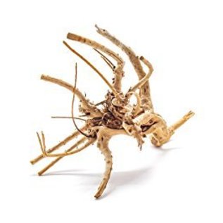 Wio Spiderwood