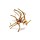 Spiderwood - Aquarium hout