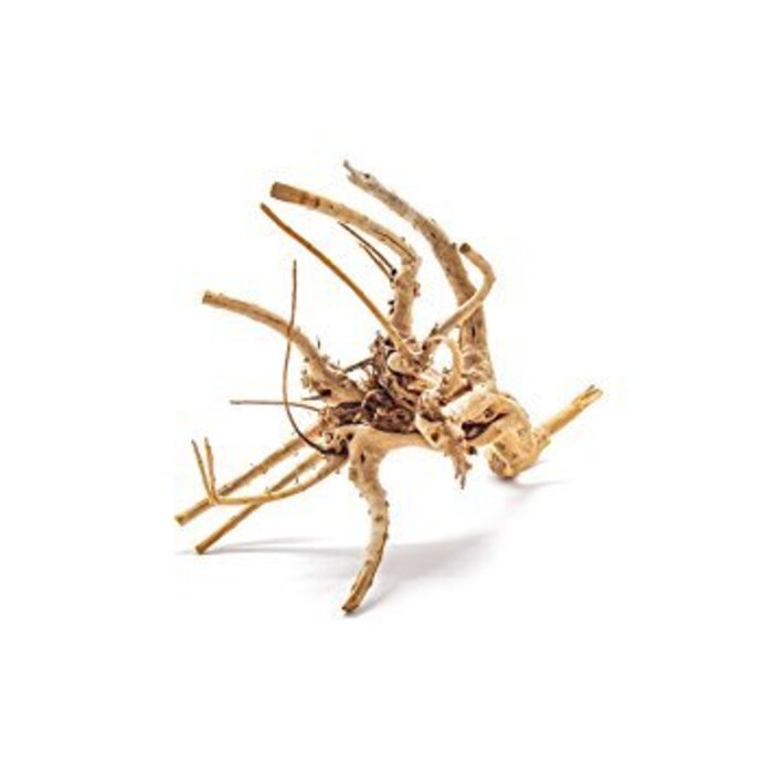 Wio Spiderwood