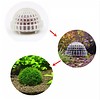 Onlineaquarium spullen Moss dome