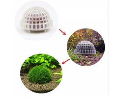 Onlineaquarium spullen Moss dome