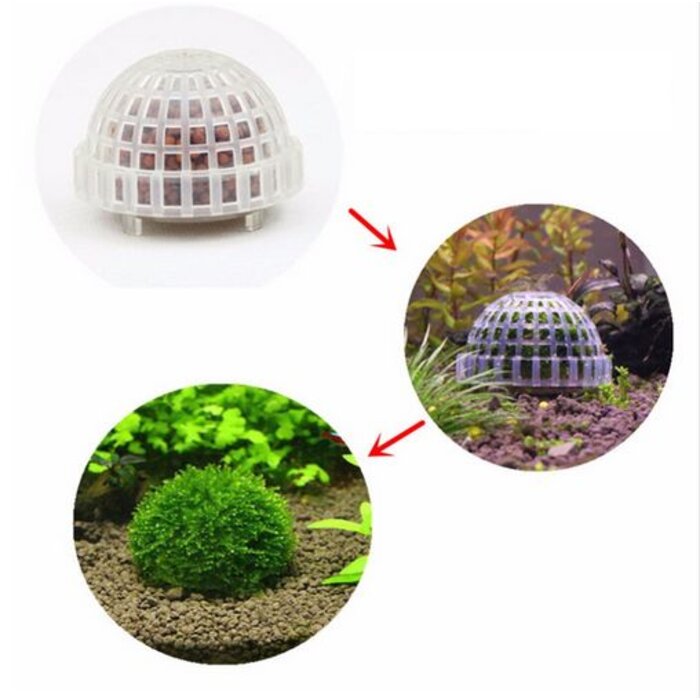 Onlineaquarium spullen Moss dome
