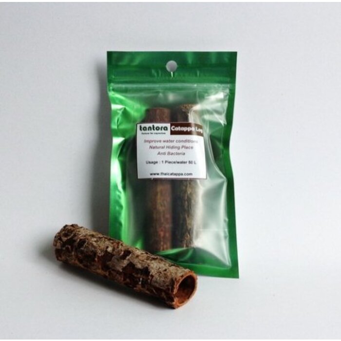 Tantora Tantora catappa bark rond