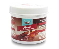 Shrimps forever Shrimps forever red