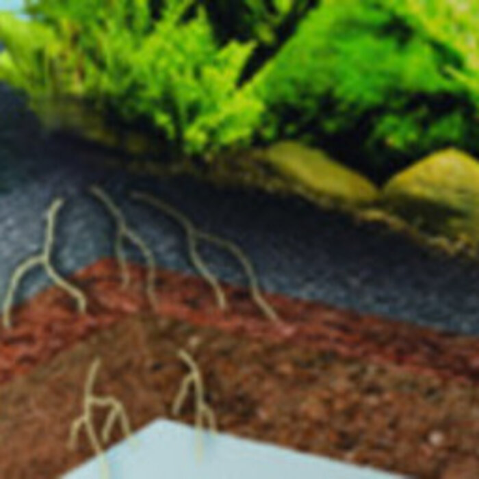 Dennerle Dennerle nano deponit mix