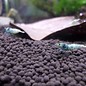 Onlineaquarium spullen Blue bolt garnalen