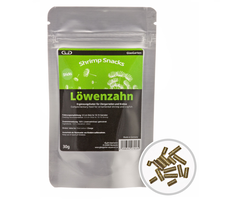 GlasGarten GlasGarten dandelion sticks