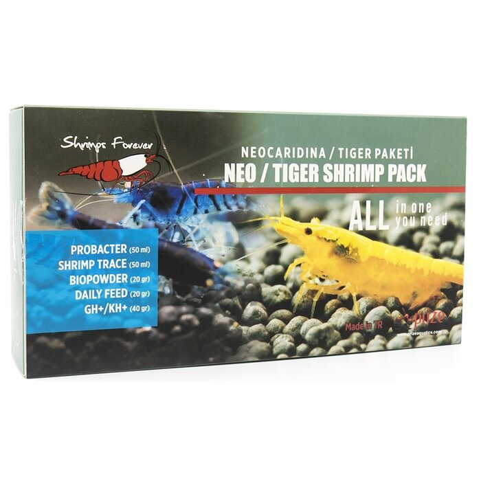 Shrimps forever Shrimps Forever Neocaridina/tiger box