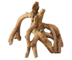 Aqua Della Mangrove - SM