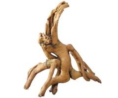 Aqua Della Root Mangrove 24,5x11,5x25,5cm