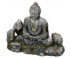 Aqua Della Buddha - L