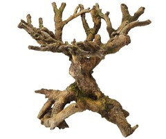 Aqua Della Bonsai Brown - 22x19x20,5 cm