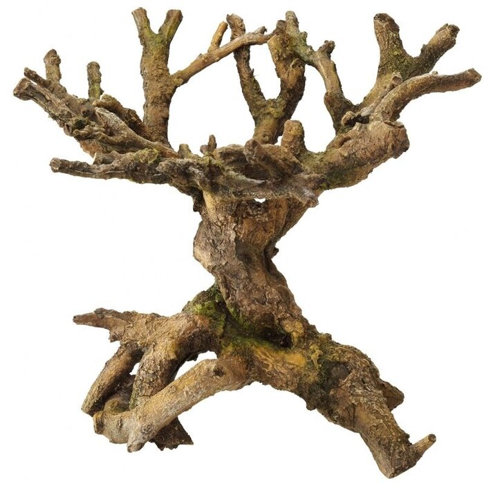 Aqua Della Bonsai Brown - 22x19x20,5 cm