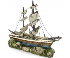 Aqua Della Zeilboot 2